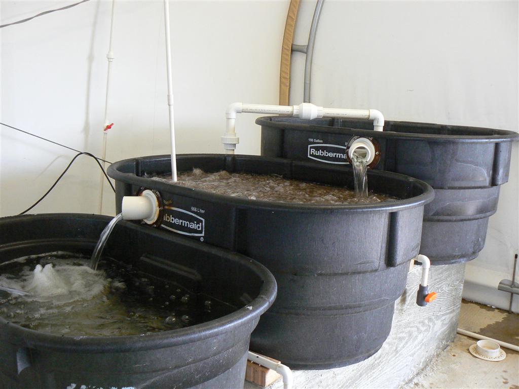 The Tank09-filtering system.JPG